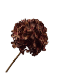 Kunstbloem Hortensia Steel Rood/Bruin | 70 cm - NU PUUR & GROEN