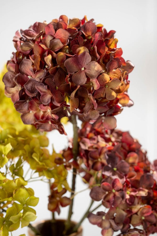 Kunstbloem Hortensia Steel Rood/Bruin | 70 cm - NU PUUR &amp; GROEN
