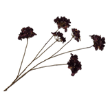 Kunstbloem Hortensia Tak Bordeaux | 119 cm