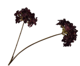 Kunstbloem Hortensia Tak Bordeaux | 85 cm