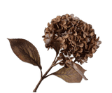 Kunstbloem Hortensia Tak Bruin | 67 cm