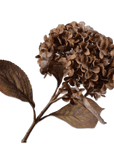 Kunstbloem Hortensia Tak Bruin | 67 cm - NU PUUR & GROEN