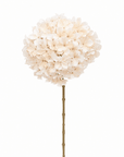 Kunstbloem Hortensia Tak Creme | 65 cm - NU PUUR & GROEN
