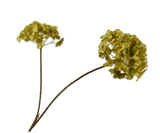 Kunstbloem Hortensia Tak Groen | 85 cm