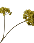 Kunstbloem Hortensia Tak Groen | 85 cm - NU PUUR & GROEN