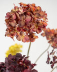 Kunstbloem Hortensia Tak Rood/Bruin | 85 cm - NU PUUR & GROEN