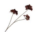 Kunstblume Hortensie Zweig Rot/Braun | 85 cm