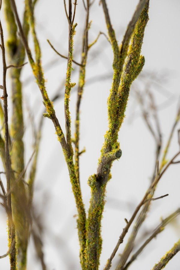 Kunstbloem Houttak Bruin/Groen | 134 cm - NU PUUR & GROEN