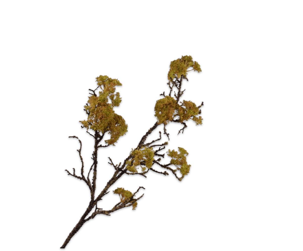 Kunstbloem Houttak Mos Groen | 101 cm - NU PUUR & GROEN