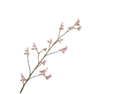 Kunstbloem Kangaroepootje Tak Rood | 121 cm