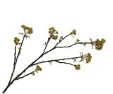 Kunstbloem Kastanje Tak Groen | 112 cm