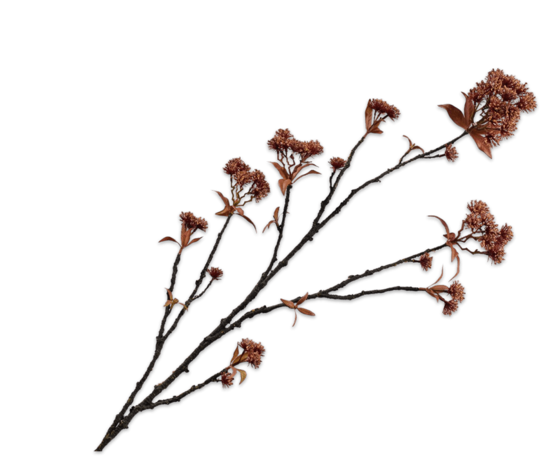 Kunstbloem Kastanje Tak Rood/Bruin | 112 cm - NU PUUR &amp; GROEN
