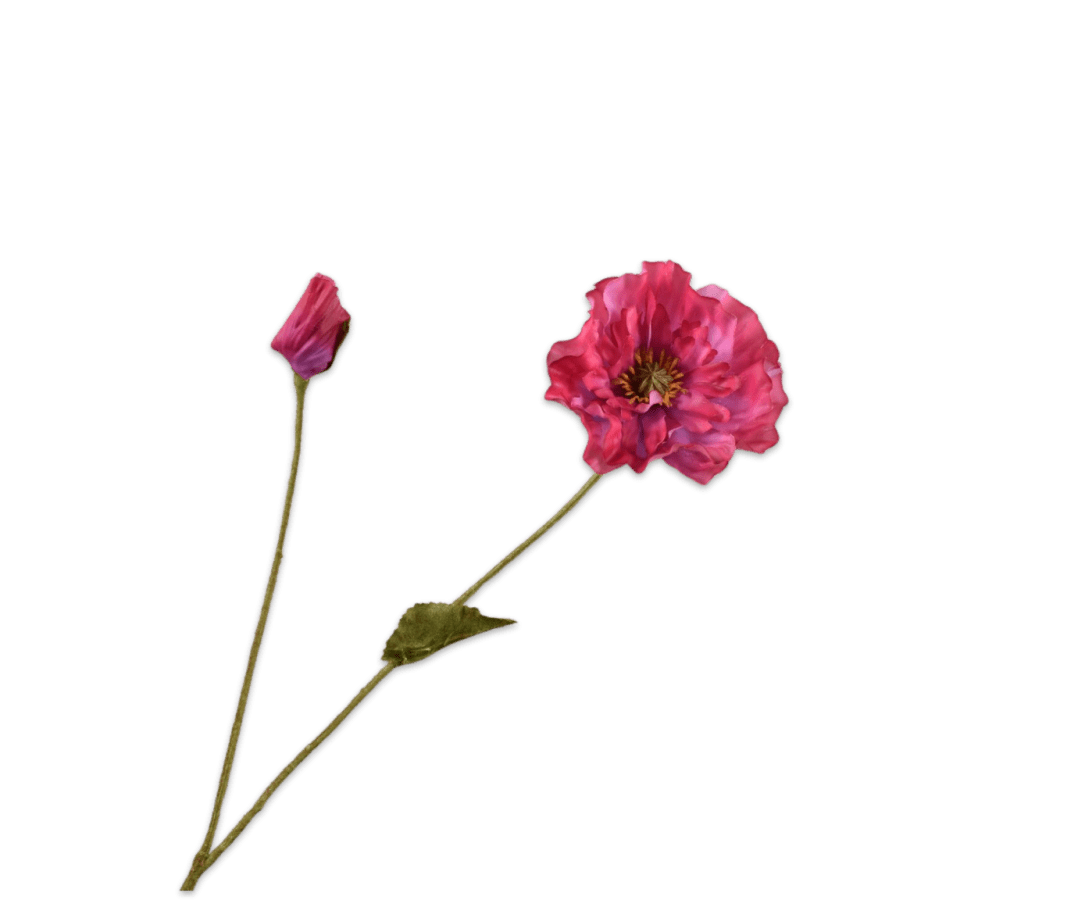 Kunstbloem Klaproos Tak Beauty RT | 74 cm - NU PUUR & GROEN