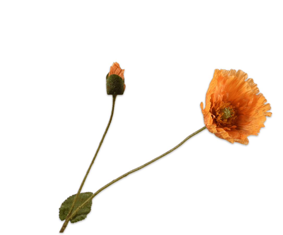 Kunstbloem Klaproos Tak Oranje | 74 cm - NU PUUR & GROEN