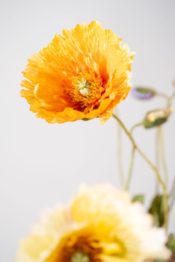 Kunstbloem Klaproos Tak Oranje | 74 cm - NU PUUR & GROEN