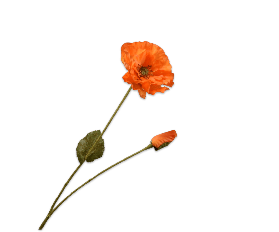 Kunstbloem Klaproos Tak Oranje RT | 74 cm - NU PUUR & GROEN