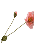 Kunstbloem Klaproos Tak Zalm | 74 cm - NU PUUR & GROEN