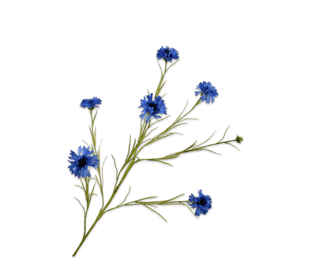 Kunstbloem Korenbloem Tak Blauw | 92 cm - NU PUUR & GROEN