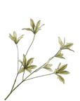 Kunstbloem Lelie Tak Groen | 85 cm - NU PUUR & GROEN