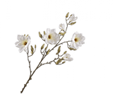 Kunstbloem Magnolia Tak Crème | 138 cm