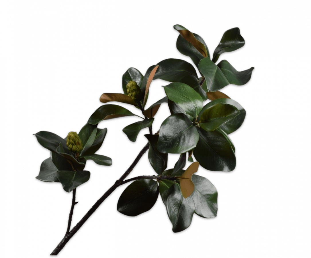 Kunstbloem Magnolia Tak Groen DK | 157 cm - NU PUUR & GROEN
