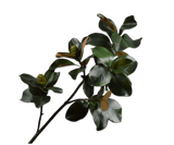 Kunstbloem Magnolia Tak Groen DK | 157 cm