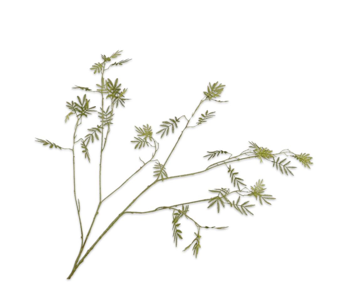 Kunstbloem Mimosa Tak Groen | 125 cm - NU PUUR & GROEN