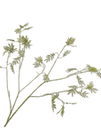 Kunstbloem Mimosa Tak Groen | 125 cm - NU PUUR & GROEN