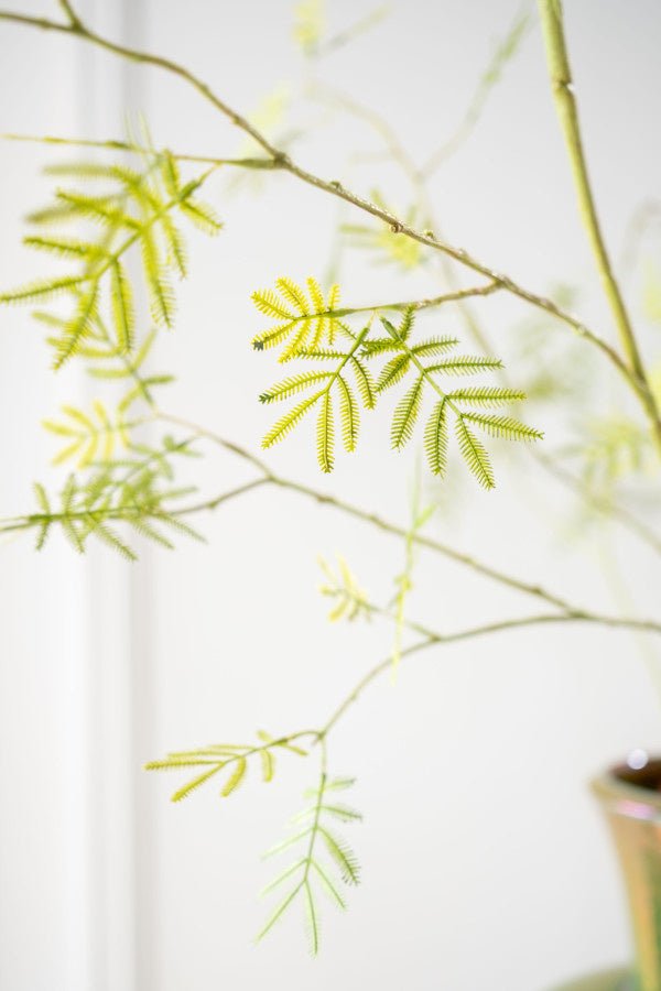 Kunstbloem Mimosa Tak Groen | 125 cm - NU PUUR & GROEN