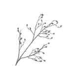 Kunstbloem Naaldtak Den Bruin / Wit | 118 cm