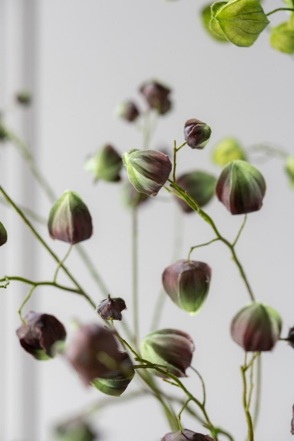 Kunstbloem Physalis Tak Bruin / Groen | 123 cm - NU PUUR & GROEN