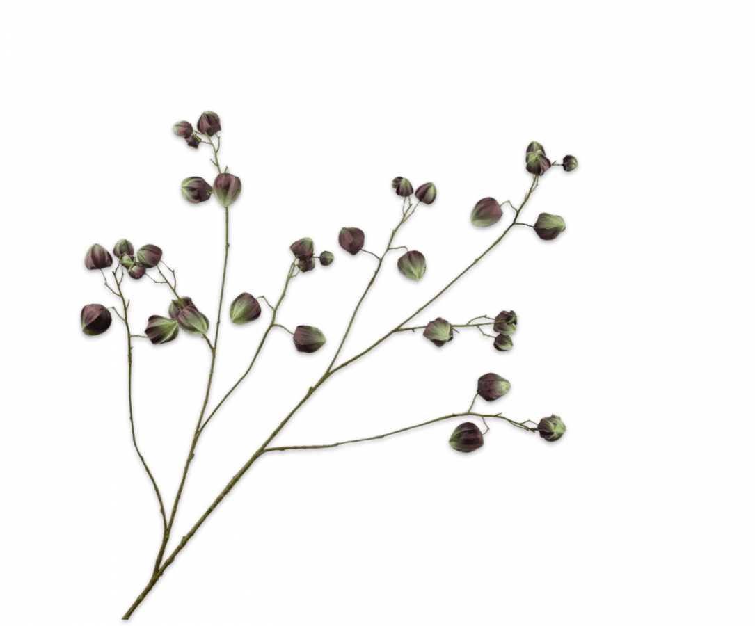 Kunstbloem Physalis Tak Bruin / Groen | 123 cm - NU PUUR & GROEN