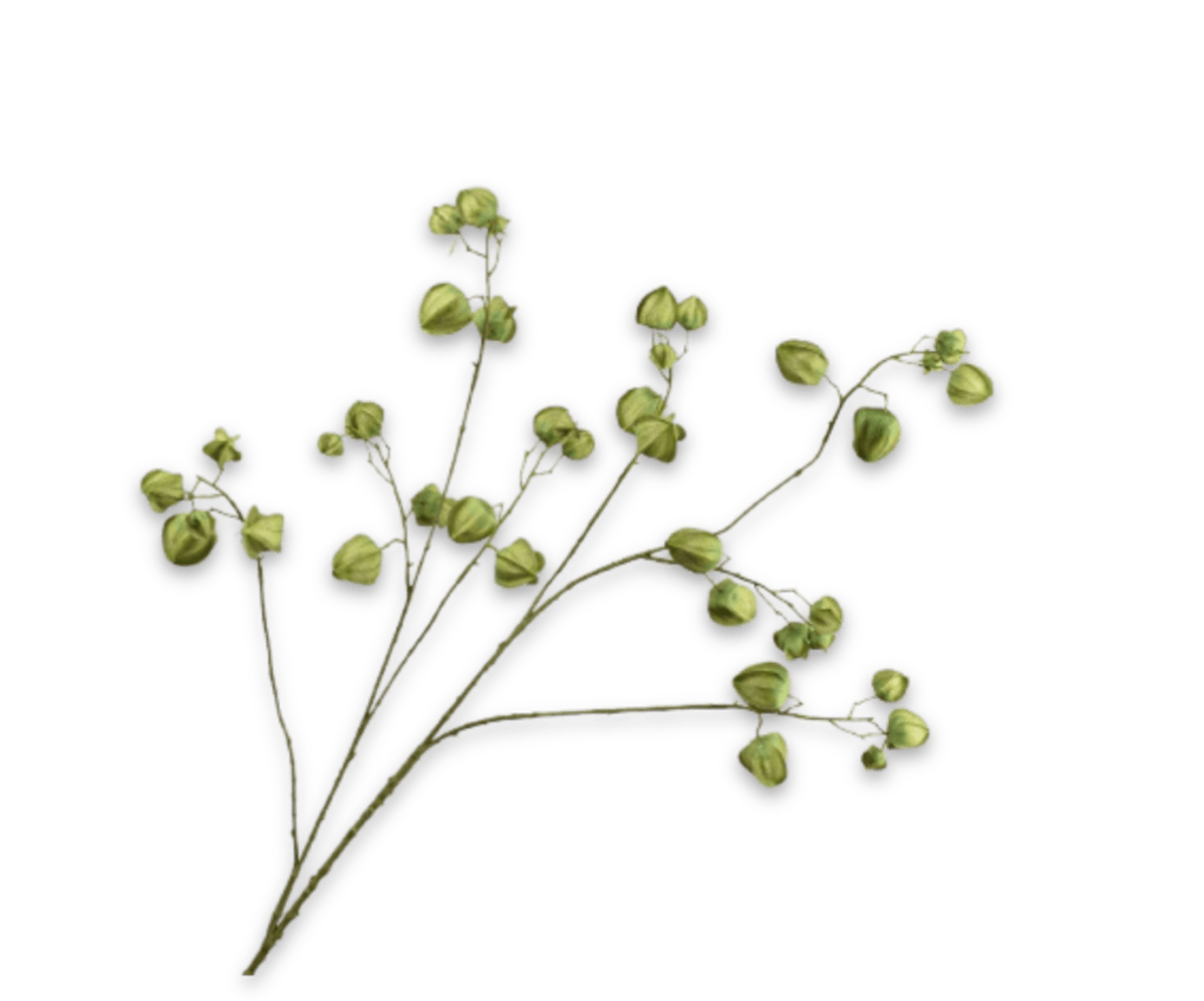 Kunstbloem Physalis Tak Groen | 123 cm - NU PUUR & GROEN