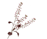 Kunstbloem Primula Tak Roze | 111 cm