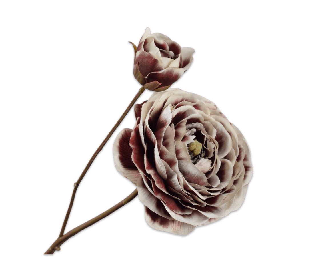 Kunstbloem Ranonkel Creme/Rood | 62 cm - NU PUUR &amp; GROEN