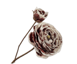 Kunstblume Ranunkel Creme/Rot | 62 cm