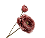 Kunstbloem Ranonkel Tak Rood | 62 cm