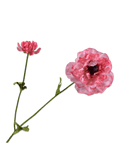 Kunstbloem Ranonkel Tak Roze Real Touch | 63 cm - NU PUUR & GROEN