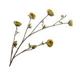 Kunstblume Rose Zweig Grün | 117 cm