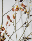 Kunstbloem Rozenbottel Tak Bruin | 126 cm - NU PUUR & GROEN