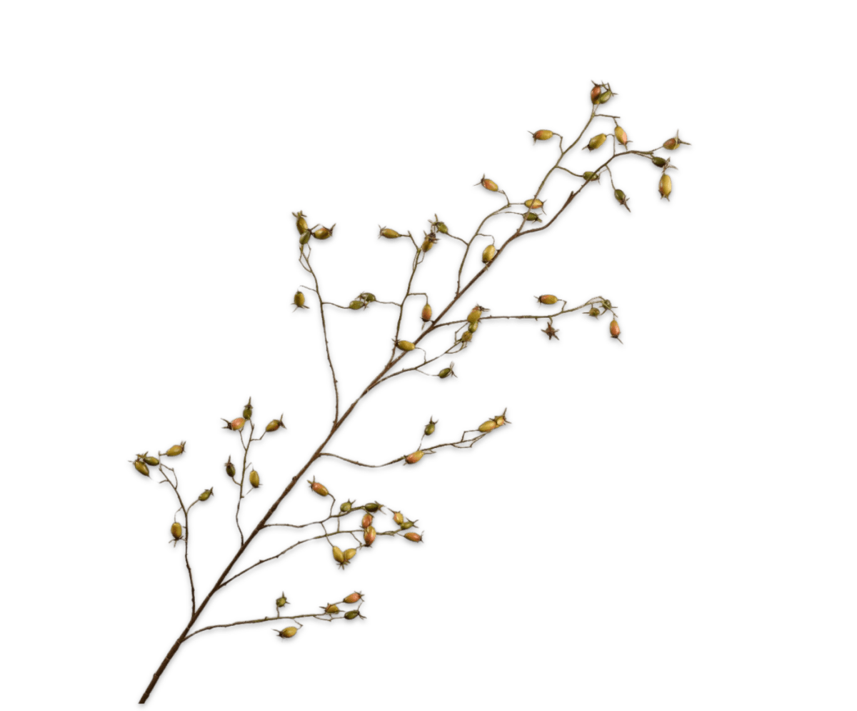Kunstbloem Rozenbottel Tak Groen | 168 cm - NU PUUR & GROEN