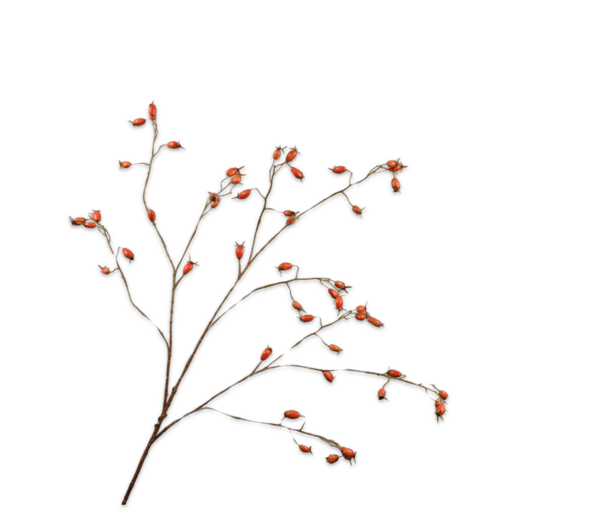 Kunstbloem Rozenbottel Tak Oranje | 106 cm - NU PUUR & GROEN