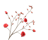 Kunstbloem Rozenbottel Tak Roze DK REAL TOUCH | 106 cm