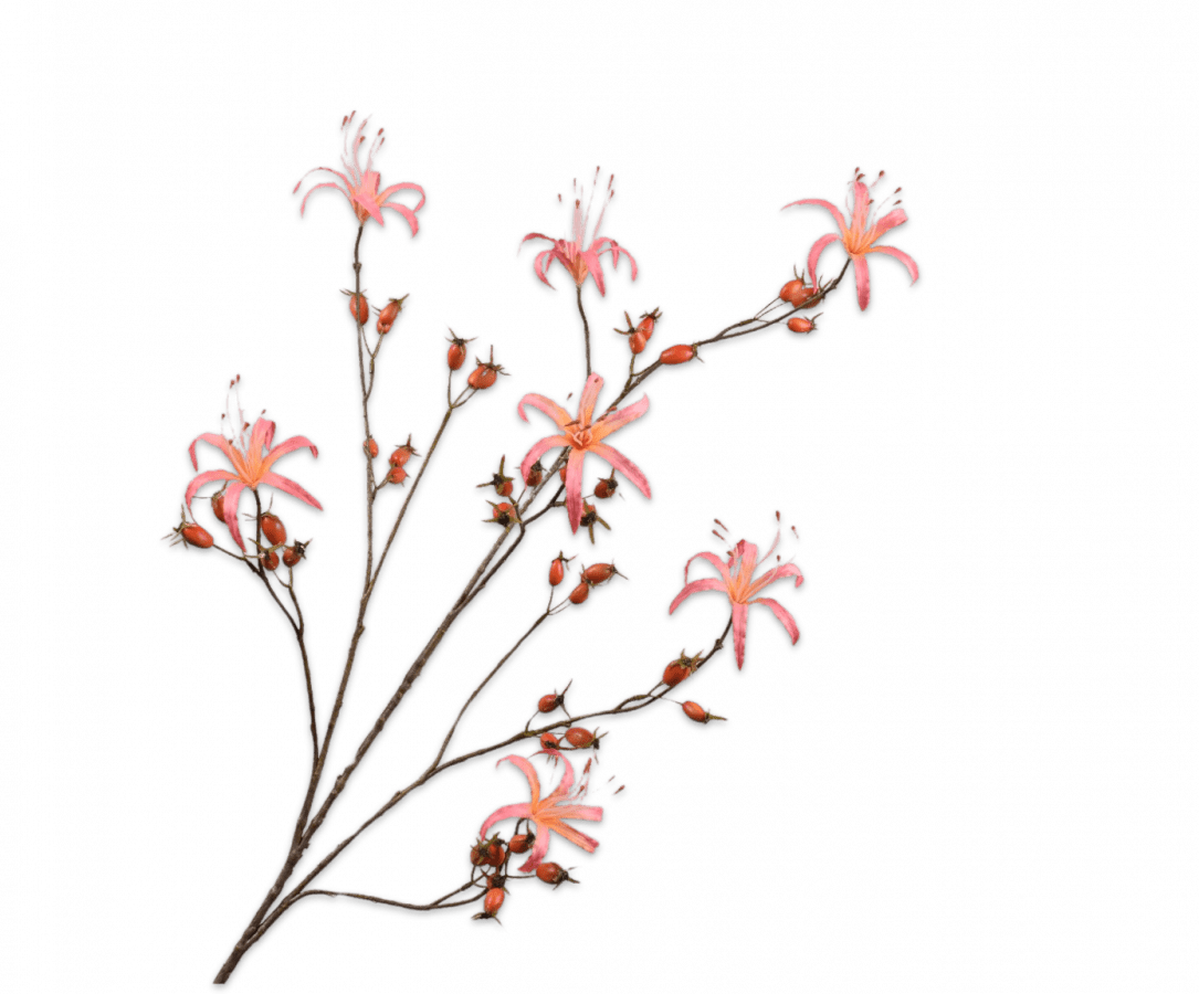 Kunstbloem Rozenbottel Tak Zalm | 130 cm - NU PUUR & GROEN