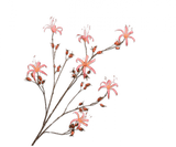 Kunstbloem Rozenbottel Tak Zalm | 130 cm
