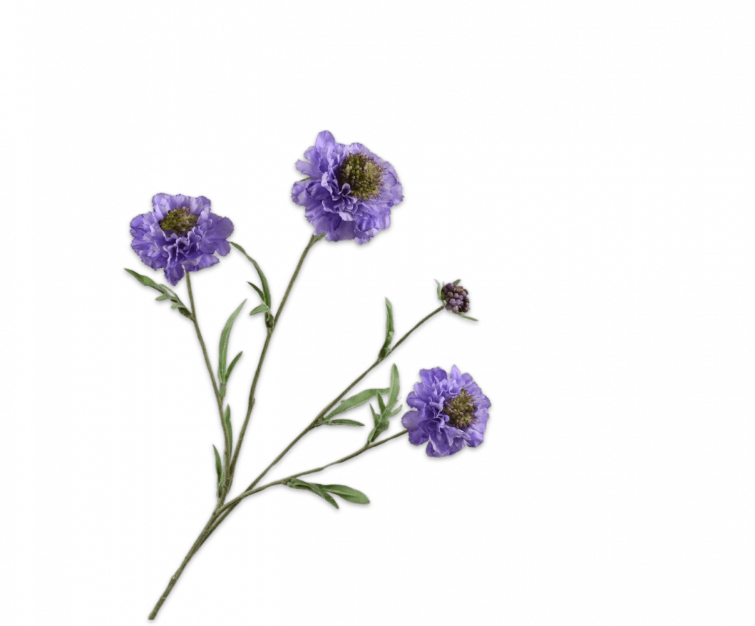 Kunstbloem Scabiosa Tak Blauw REAL TOUCH | 80 cm - NU PUUR & GROEN