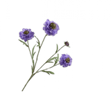 Artificial Flower Scabiosa Branch Blue REAL TOUCH | 80 cm