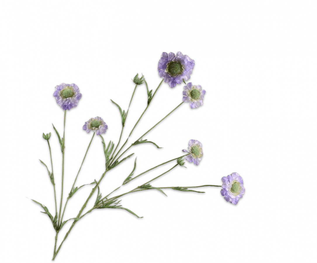 Kunstbloem Scabiosa Tak Blauw/Groen REAL TOUCH | 120 cm - NU PUUR & GROEN