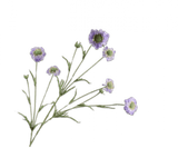 Kunstbloem Scabiosa Tak Blauw/Groen REAL TOUCH | 120 cm