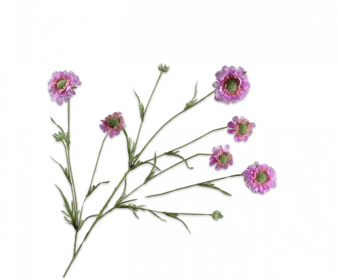 Kunstbloem Scabiosa Tak Roze REAL TOUCH | 120 cm - NU PUUR & GROEN